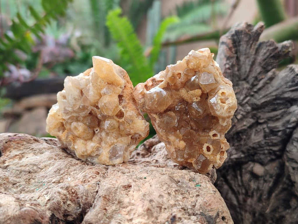 Natural Golden Limonite Quartz Crystal Cluster Plates x 35 From Solwezi, Zambia - Toprock Gemstones and Minerals 