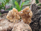 Natural Golden Limonite Quartz Crystal Cluster Plates x 35 From Solwezi, Zambia - Toprock Gemstones and Minerals 