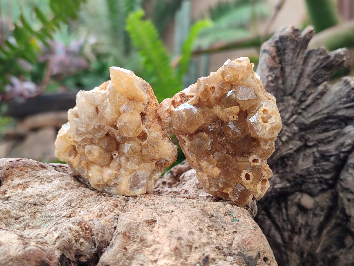 Natural Golden Limonite Quartz Crystal Cluster Plates x 35 From Solwezi, Zambia - Toprock Gemstones and Minerals 