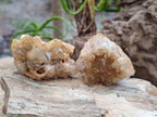 Natural Golden Limonite Quartz Crystal Cluster Plates x 35 From Solwezi, Zambia - Toprock Gemstones and Minerals 