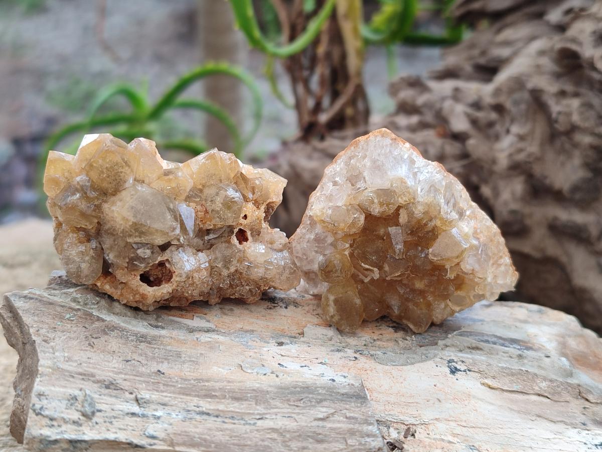 Natural Golden Limonite Quartz Crystal Cluster Plates x 35 From Solwezi, Zambia - Toprock Gemstones and Minerals 