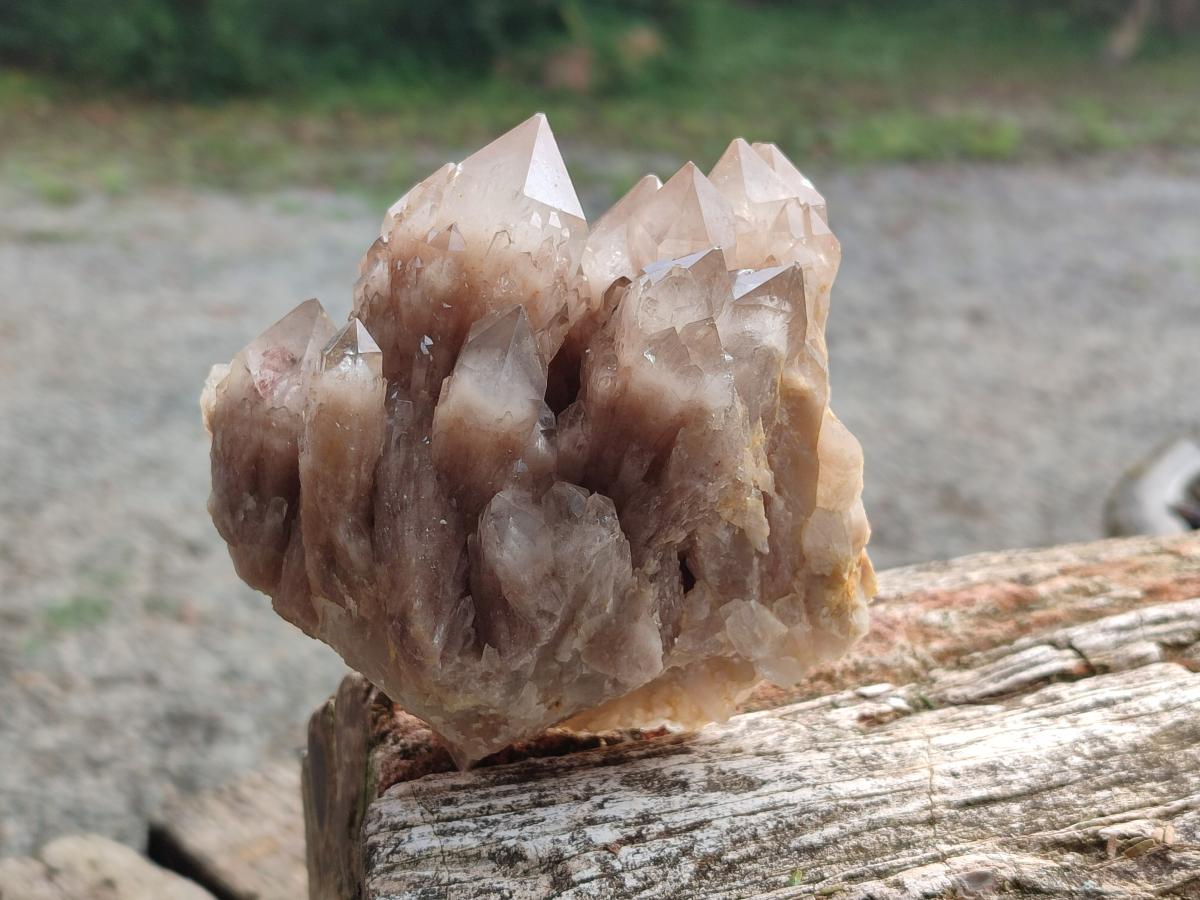 Natural Cascading White Phantom Smokey Luena Quartz Clusters x 2 From Luena, Congo - Toprock Gemstones and Minerals 