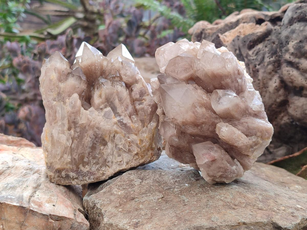 Natural Cascading White Phantom Smokey Luena Quartz Clusters x 2 From Luena, Congo - Toprock Gemstones and Minerals 