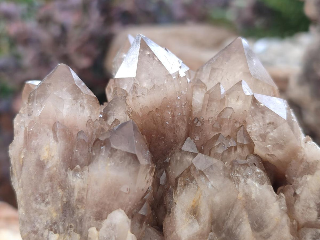 Natural Cascading White Phantom Smokey Luena Quartz Clusters x 2 From Luena, Congo - Toprock Gemstones and Minerals 