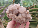 Natural Cascading White Phantom Smokey Luena Quartz Clusters x 2 From Luena, Congo - Toprock Gemstones and Minerals 