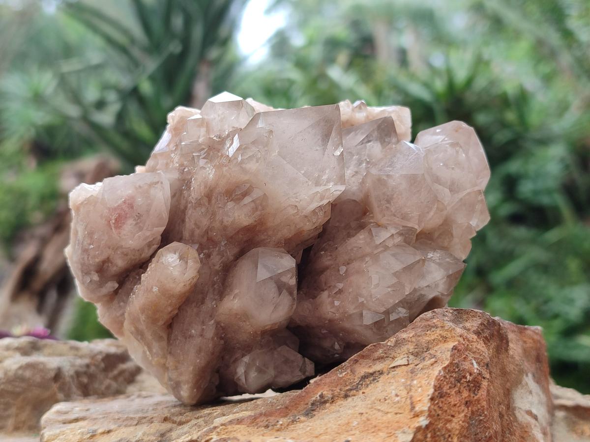 Natural Cascading White Phantom Smokey Luena Quartz Clusters x 2 From Luena, Congo - Toprock Gemstones and Minerals 