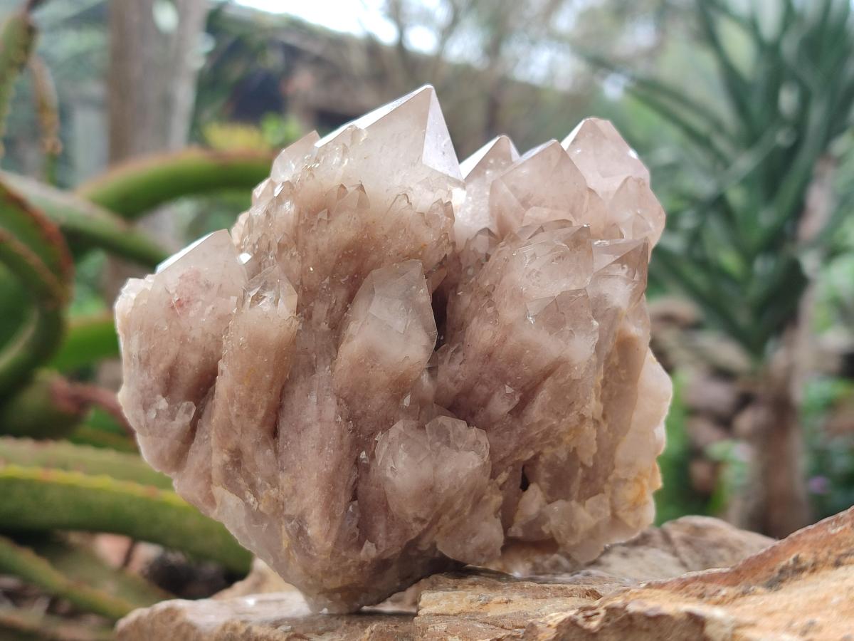 Natural Cascading White Phantom Smokey Luena Quartz Clusters x 2 From Luena, Congo - Toprock Gemstones and Minerals 