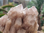 Natural Cascading White Phantom Smokey Luena Quartz Clusters x 2 From Luena, Congo - Toprock Gemstones and Minerals 