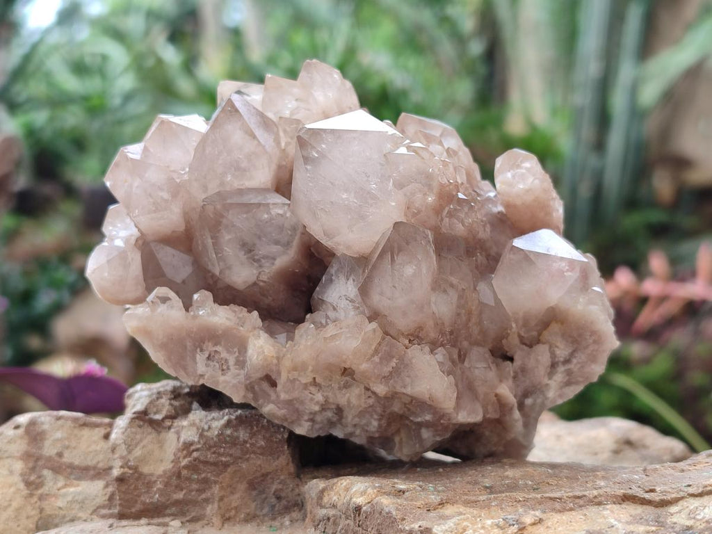 Natural Cascading White Phantom Smokey Luena Quartz Clusters x 2 From Luena, Congo - Toprock Gemstones and Minerals 