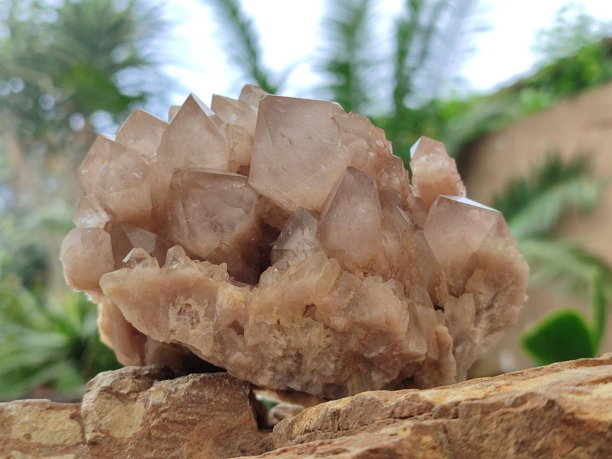 Natural Cascading White Phantom Smokey Luena Quartz Clusters x 2 From Luena, Congo - Toprock Gemstones and Minerals 
