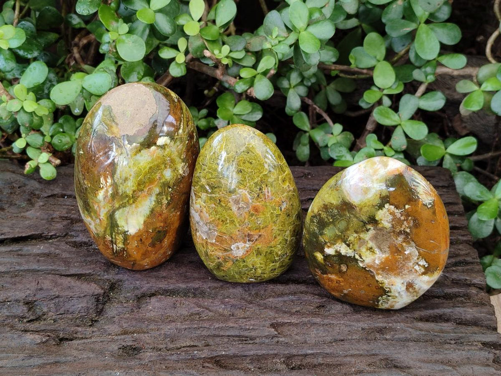 Polished Green Opal Standing Display Pieces x 3 From Betroka, Madagascar - Toprock Gemstones and Minerals 