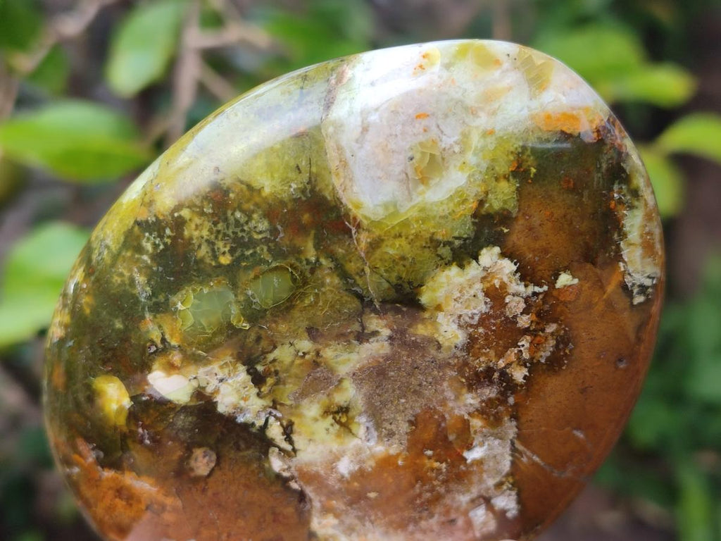 Polished Green Opal Standing Display Pieces x 3 From Betroka, Madagascar - Toprock Gemstones and Minerals 