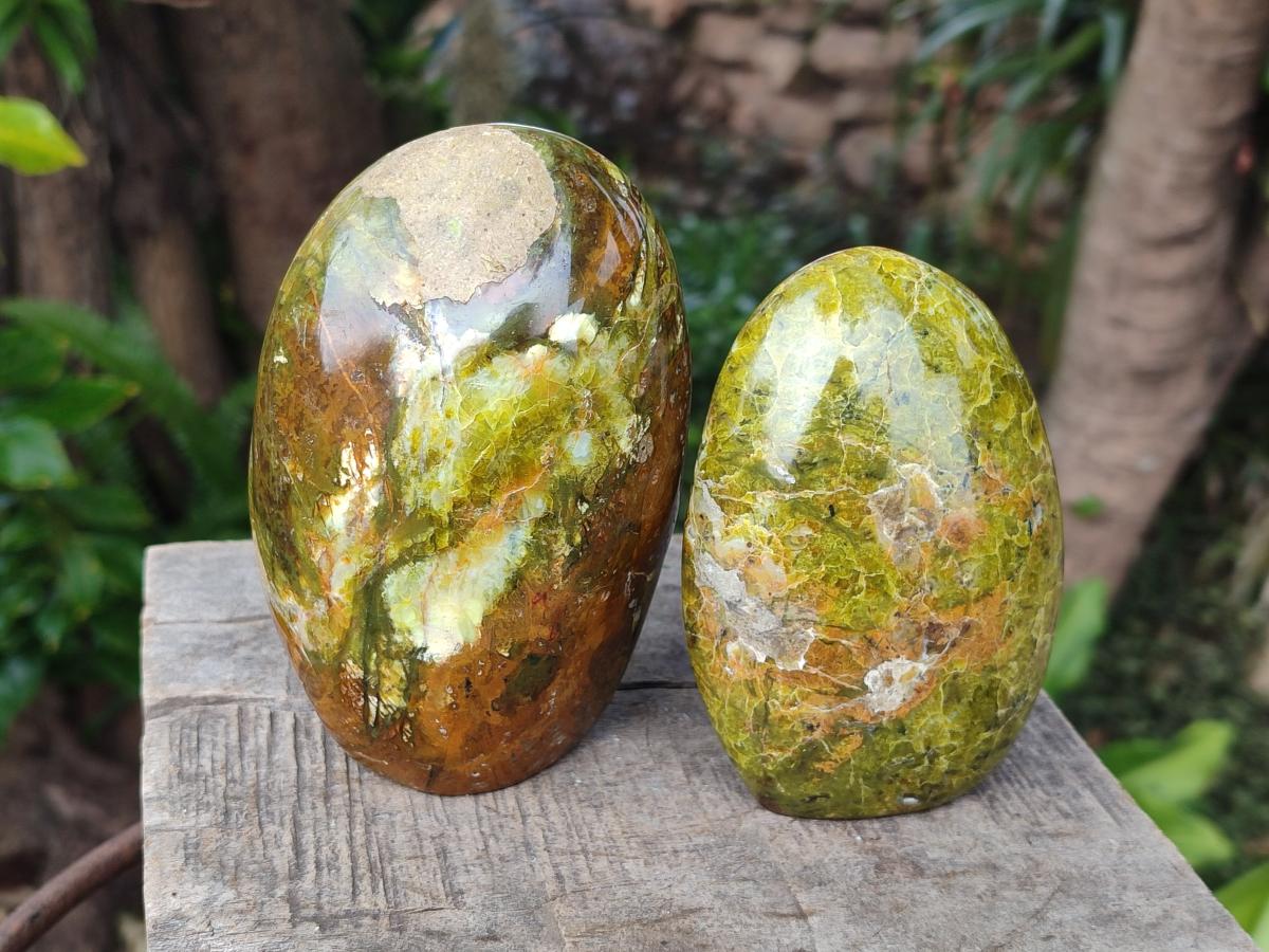 Polished Green Opal Standing Display Pieces x 3 From Betroka, Madagascar - Toprock Gemstones and Minerals 