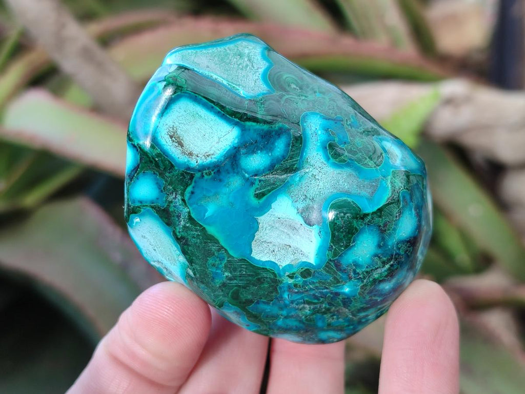 Polished Malacolla Free Forms x 6 From Kulukuluku, Congo - Toprock Gemstones and Minerals 