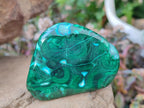 Polished Malacolla Free Forms x 6 From Kulukuluku, Congo - Toprock Gemstones and Minerals 