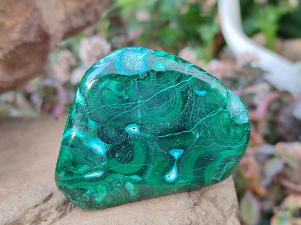 Polished Malacolla Free Forms x 6 From Kulukuluku, Congo - Toprock Gemstones and Minerals 