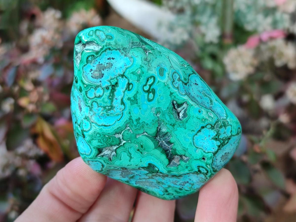 Polished Malacolla Free Forms x 6 From Kulukuluku, Congo - Toprock Gemstones and Minerals 