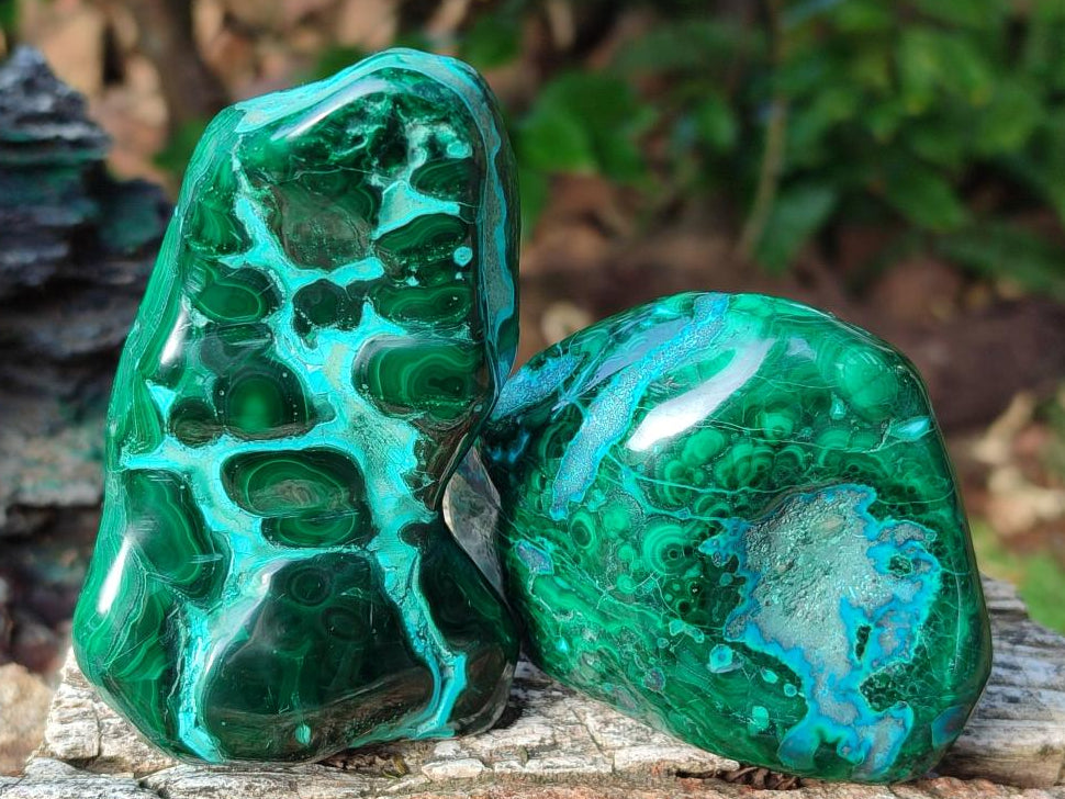 Polished Malacolla Free Forms x 6 From Kulukuluku, Congo - Toprock Gemstones and Minerals 