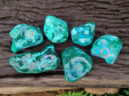 Polished Malacolla Free Forms x 6 From Kulukuluku, Congo - Toprock Gemstones and Minerals 