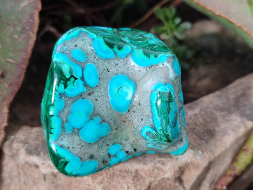 Polished Malacolla Free Forms x 6 From Kulukuluku, Congo - Toprock Gemstones and Minerals 