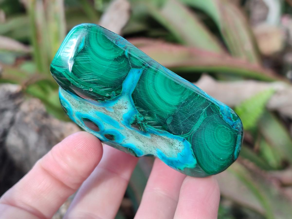 Polished Malacolla Free Forms x 6 From Kulukuluku, Congo - Toprock Gemstones and Minerals 