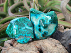Polished Malacolla Free Forms x 6 From Kulukuluku, Congo - Toprock Gemstones and Minerals 