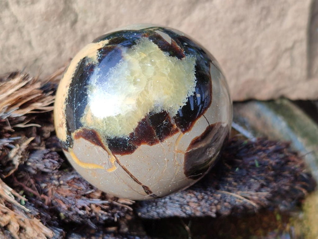 Polished Septerye Spheres x 4 From Mahajanga, Madagascar - Toprock Gemstones and Minerals 