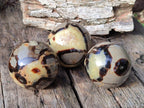 Polished Septerye Spheres x 4 From Mahajanga, Madagascar - Toprock Gemstones and Minerals 