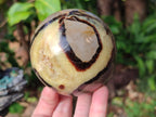 Polished Septerye Spheres x 4 From Mahajanga, Madagascar - Toprock Gemstones and Minerals 