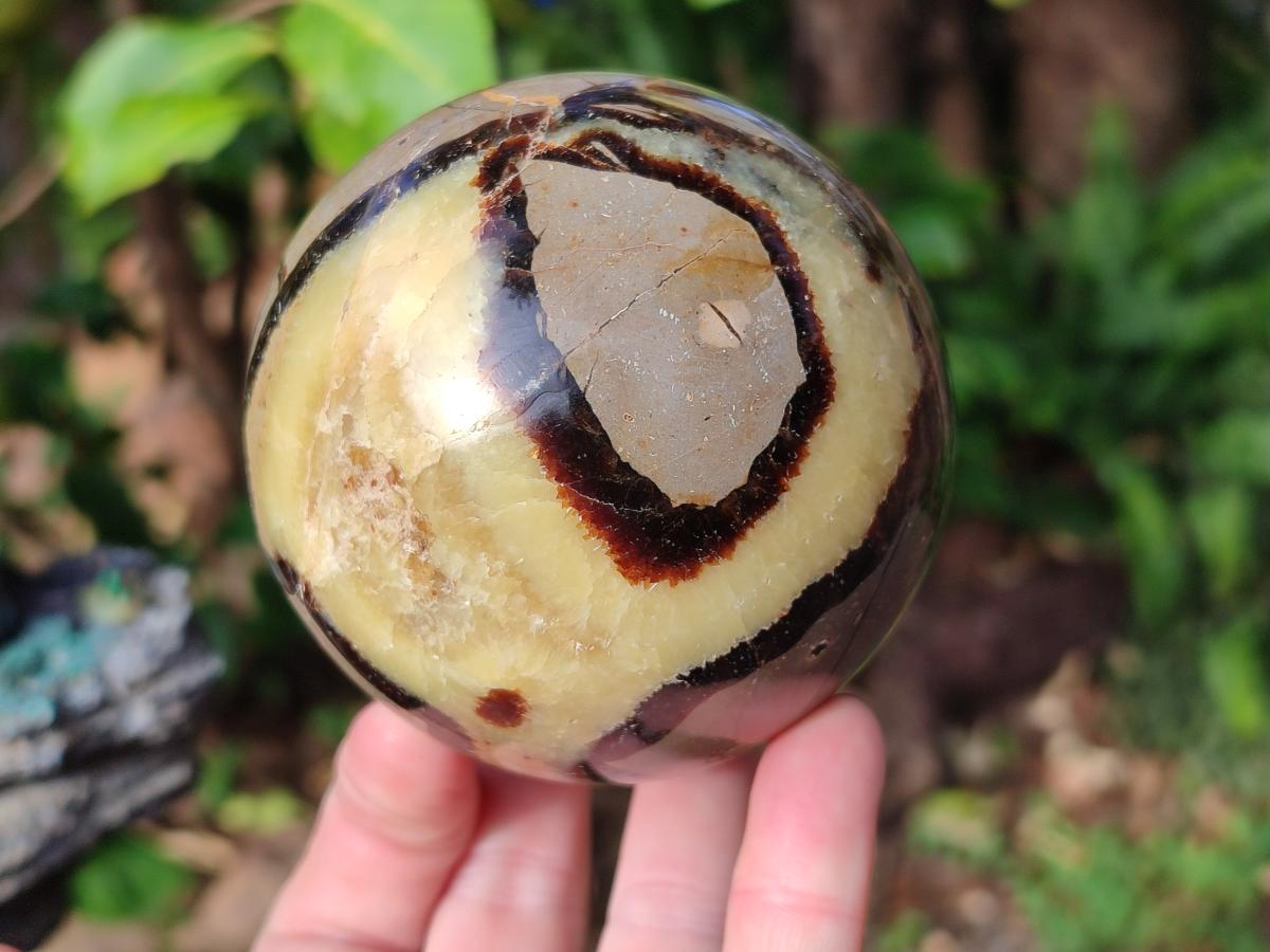 Polished Septerye Spheres x 4 From Mahajanga, Madagascar - Toprock Gemstones and Minerals 