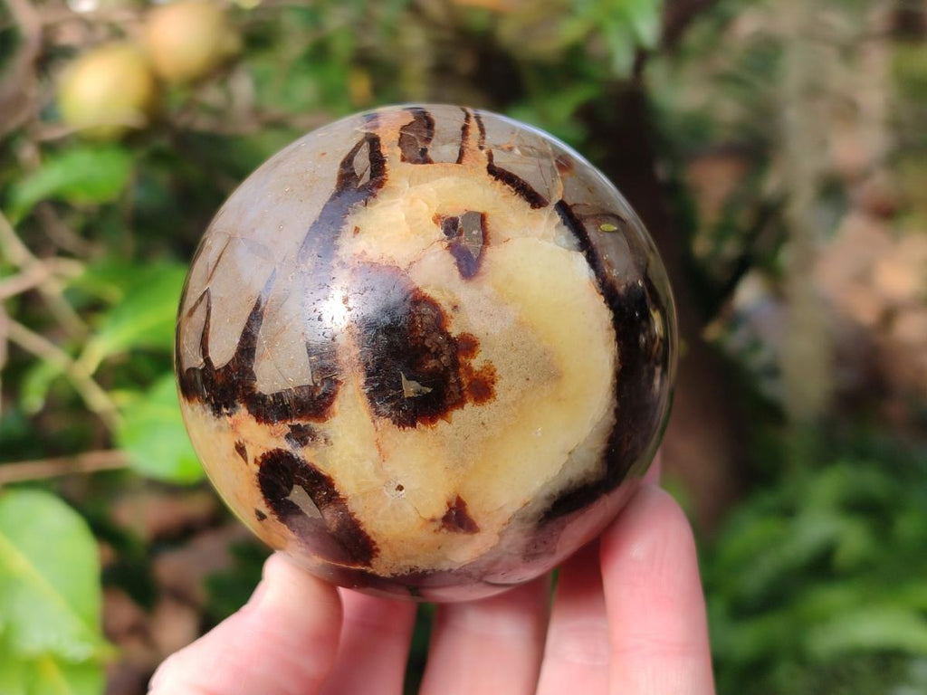 Polished Septerye Spheres x 4 From Mahajanga, Madagascar - Toprock Gemstones and Minerals 