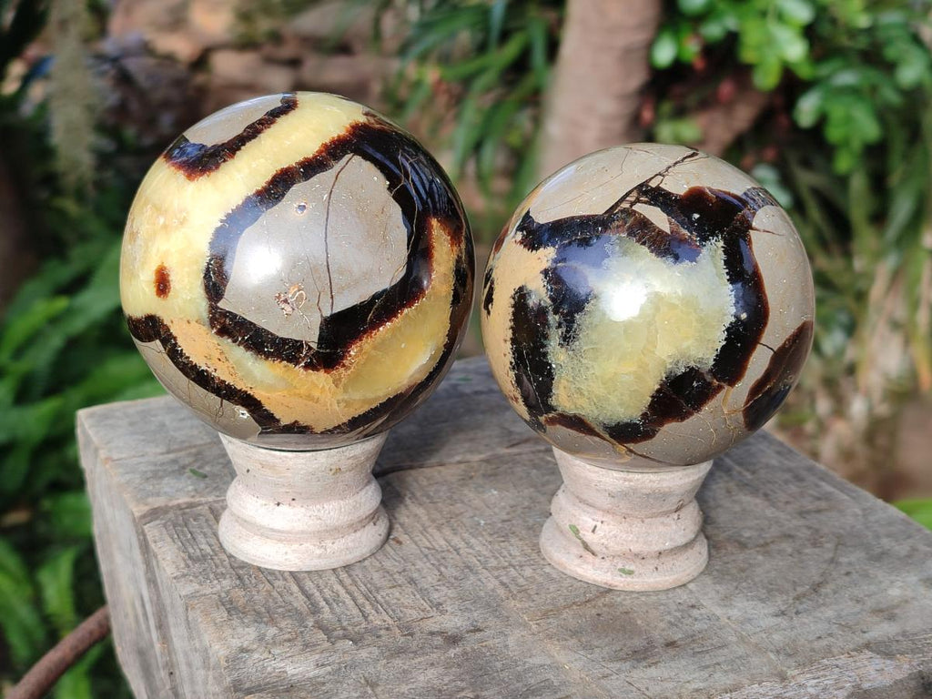 Polished Septerye Spheres x 4 From Mahajanga, Madagascar - Toprock Gemstones and Minerals 