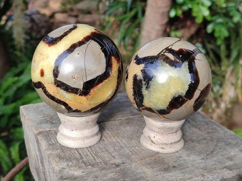 Polished Septerye Spheres x 4 From Mahajanga, Madagascar - Toprock Gemstones and Minerals 