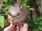 Polished Septerye Spheres x 4 From Mahajanga, Madagascar - Toprock Gemstones and Minerals 