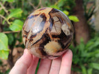 Polished Septerye Spheres x 4 From Mahajanga, Madagascar - Toprock Gemstones and Minerals 