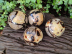 Polished Septerye Spheres x 4 From Mahajanga, Madagascar - Toprock Gemstones and Minerals 