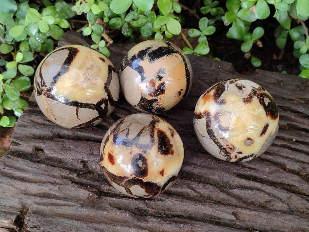 Polished Septerye Spheres x 4 From Mahajanga, Madagascar - Toprock Gemstones and Minerals 