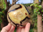 Polished Septerye Spheres x 4 From Mahajanga, Madagascar - Toprock Gemstones and Minerals 