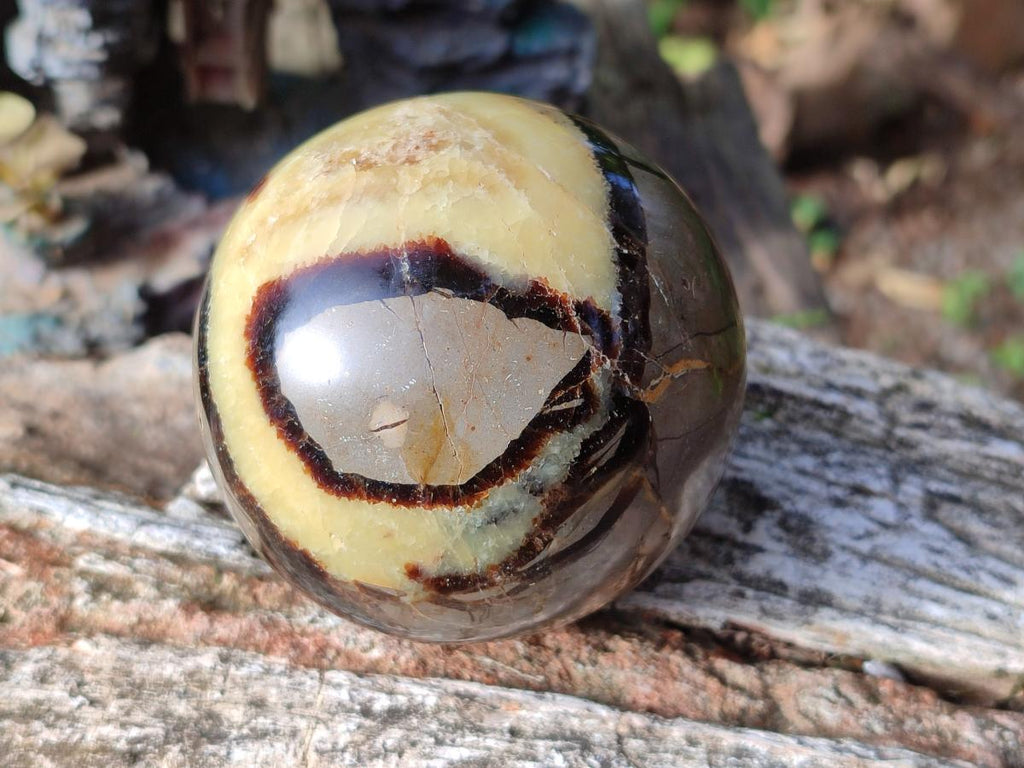 Polished Septerye Spheres x 4 From Mahajanga, Madagascar - Toprock Gemstones and Minerals 