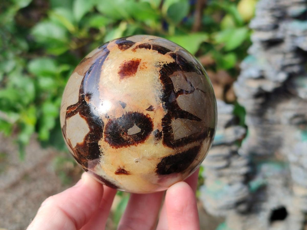 Polished Septerye Spheres x 4 From Mahajanga, Madagascar - Toprock Gemstones and Minerals 