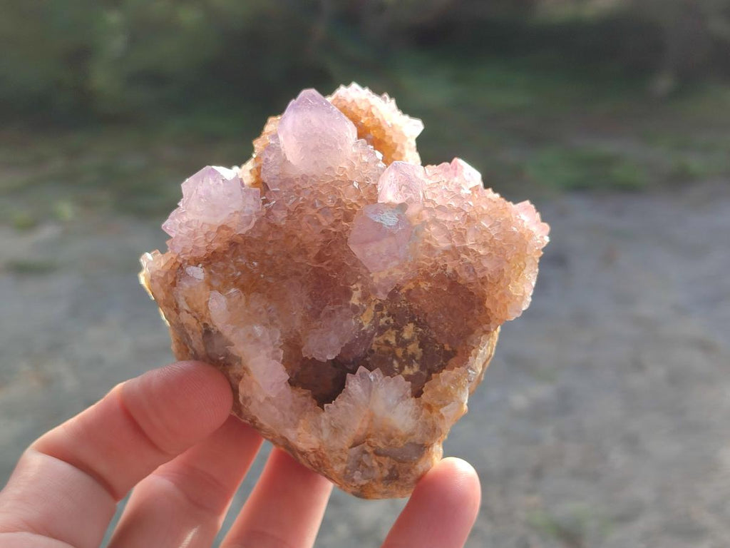 Natural Spirit Ametrine Clusters x 6 From Boekenhouthoek, South Africa - Toprock Gemstones and Minerals 