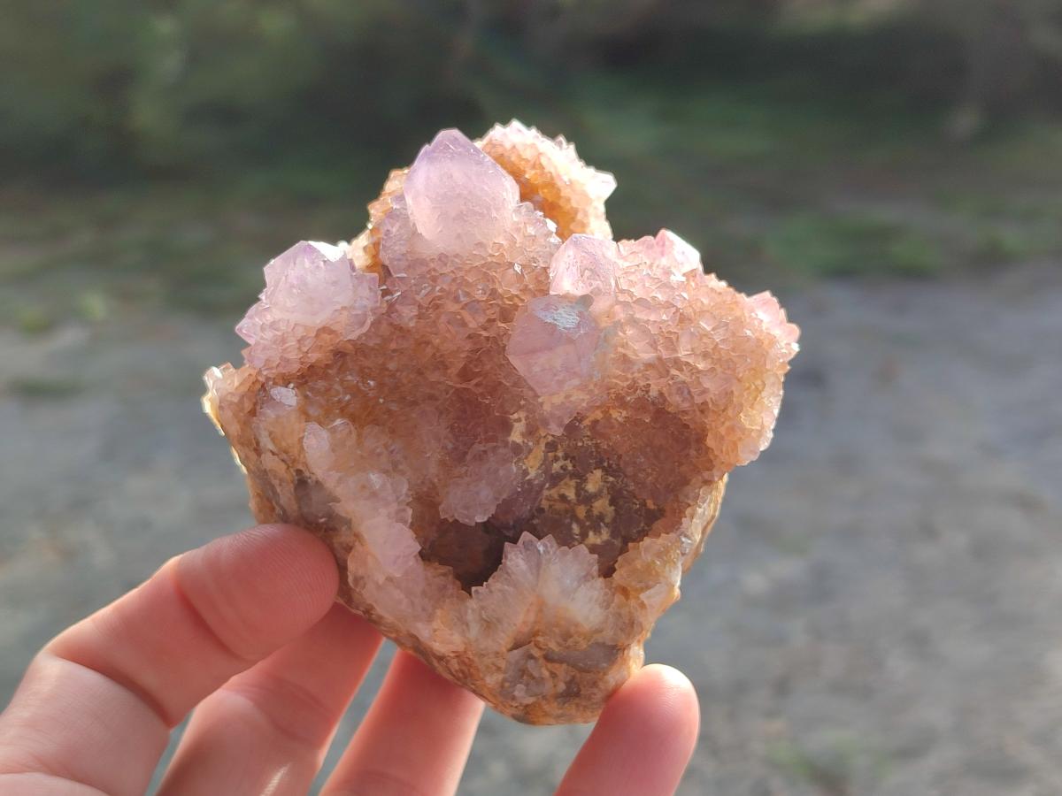 Natural Spirit Ametrine Clusters x 6 From Boekenhouthoek, South Africa - Toprock Gemstones and Minerals 
