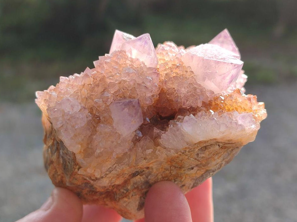 Natural Spirit Ametrine Clusters x 6 From Boekenhouthoek, South Africa - Toprock Gemstones and Minerals 