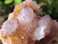 Natural Spirit Ametrine Clusters x 6 From Boekenhouthoek, South Africa - Toprock Gemstones and Minerals 