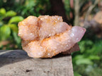 Natural Spirit Ametrine Clusters x 6 From Boekenhouthoek, South Africa - Toprock Gemstones and Minerals 