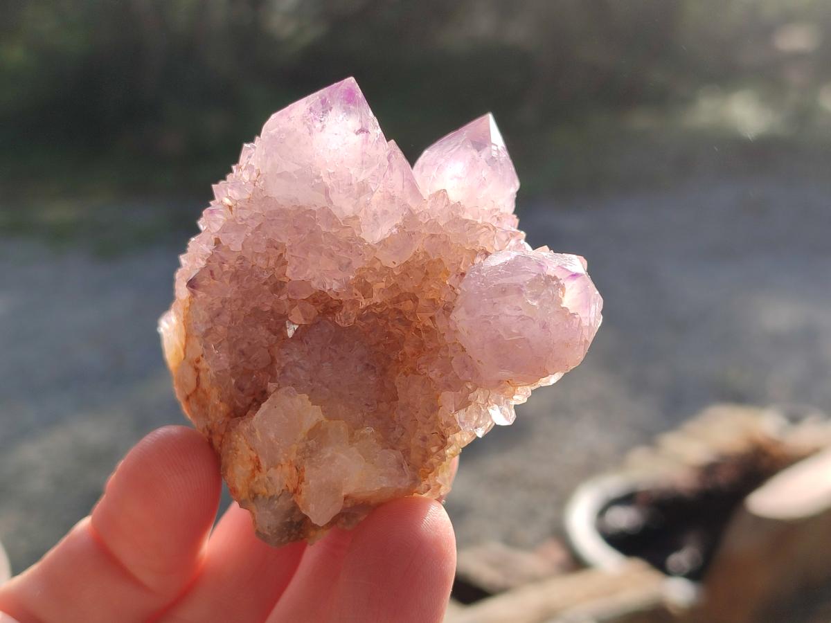 Natural Spirit Ametrine Clusters x 6 From Boekenhouthoek, South Africa - Toprock Gemstones and Minerals 
