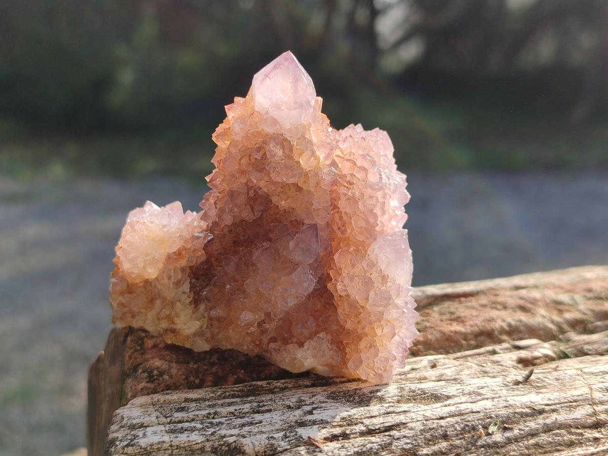 Natural Spirit Ametrine Clusters x 6 From Boekenhouthoek, South Africa - Toprock Gemstones and Minerals 