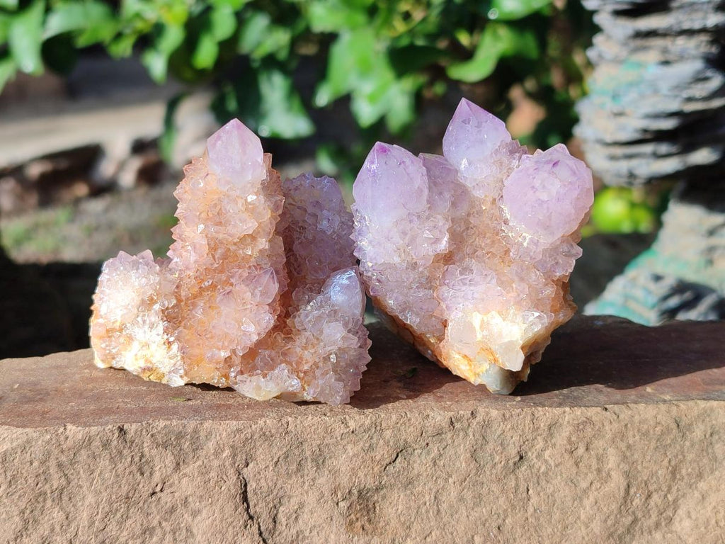 Natural Spirit Ametrine Clusters x 6 From Boekenhouthoek, South Africa - Toprock Gemstones and Minerals 