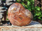 Polished Red Podocarpus Petrified Wood Hearts x 3 From Mahajanga, Madagascar - Toprock Gemstones and Minerals 
