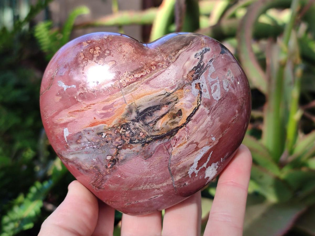 Polished Red Podocarpus Petrified Wood Hearts x 3 From Mahajanga, Madagascar - Toprock Gemstones and Minerals 